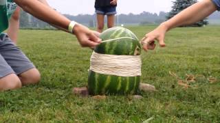 Watermelon400 rubber bands [upl. by Roque]