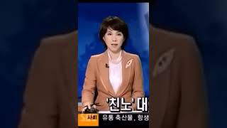 웃긴영상 방송사고 웃참🤣 [upl. by Goodhen]