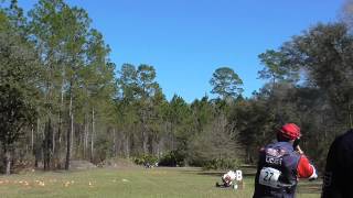 Friday FITASC  Florida Challenge Sporting Clays  Bradford [upl. by Erialc]