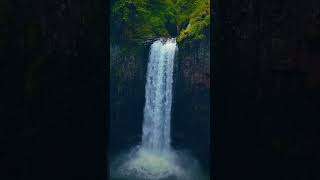 Waterfalls🌿 new status video 🌧️🌊 [upl. by Anielram]