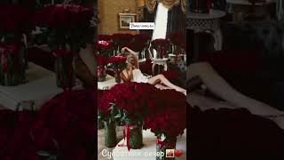 love florets flowers bouquetoflove music automobile bouquet любовь цветы графиня ✨😘 [upl. by Ennovad]