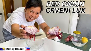 Moj recept za jednostavan ukiseljeni crveni luk  My Recipe for Simple Pickled Red Onion [upl. by Neellek]