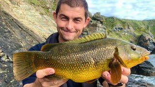 Shore Fishing UK  Wrasse Fishing  Rock Fishing  The Fish Locker [upl. by Georgianne]