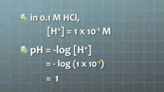 pH explanation short version [upl. by Akimert]