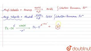 Schotten Baumann reaction is [upl. by Ogdon958]