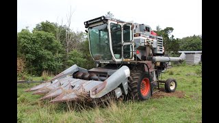 AllisChalmers Gleaner F2 Combine Online at Tays Realty amp Auction LLC [upl. by Crosley]