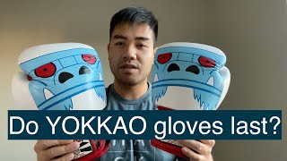 YOKKAO MONSTER MUAY THAI BOXING GLOVES  500 Hours Later [upl. by Regdor]