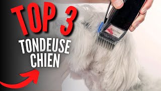 Meilleure Tondeuse Chien 2024 [upl. by Neelyar]