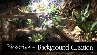 My Bioactive Boa Enclosure [upl. by Ailekat974]