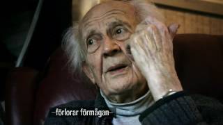 The Swedish Theory of Love  Zygmunt Bauman [upl. by Ern]