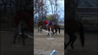 My first time throwing my arms over ehcapa jump fypシ゚ tackless horsejumping tacklessriding [upl. by Anelliw524]