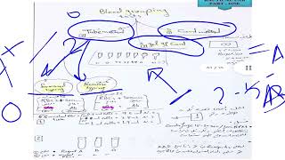 W5 L3BloodBank2024sKhwaiter Blood grouping test methods [upl. by Eirret]