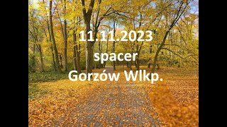 Gorzów Wlkp Jesień11112023 Park Kopernika Park Siemiradzkiego [upl. by Naivart]