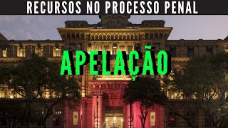 APELAÇÃO Processo Penal Concurso Escrevente Técnico Judiciário TJSP capital e interior 2024 [upl. by Ier]