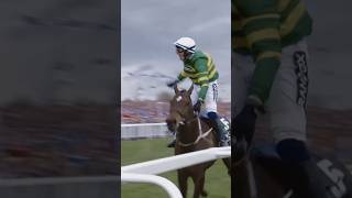 The moment you WIN the world’s greatest jumps race 🤯😮 horseracing horses [upl. by Kleeman]