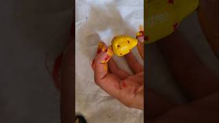 Stars and clay asmr pottery diy miniature best yellow ceramicsculpture art shorts red me [upl. by Stella]