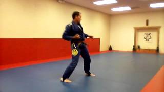 Goshin Jutsu Karate Kata Heian 4 [upl. by Efthim]