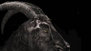 ASMR But Its Just Black Phillip Asking If Wouldst Thou Like To Live Deliciously for 666 [upl. by Butte423]