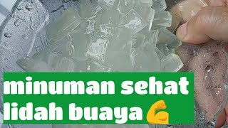 Cara Mudah Mengolah Lidah Buaya Supaya Menjadi Minuman Sehat [upl. by Dor]