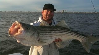 Todd quotBOSSMANquot Mossman  Striped Bass Off Brigantine NJ [upl. by Curtis]