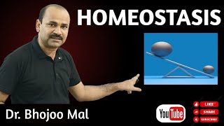 Homeostasis  by Dr Bhojoo Mal [upl. by Avaria]