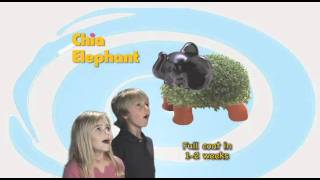 ChChChChia  Chia Pet  The Gift That Grows [upl. by Burnie]