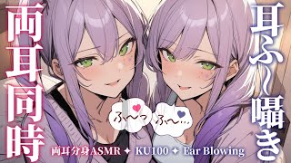 【ASMRKU100】分身した２人が両耳同時に耳ふーで寝かしつけ♡Ear blowing in both ears【沙汰ナキア睡眠導入】 [upl. by Khichabia]