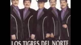 Me dicen perseverante  Los Tigres del Norte [upl. by Shalne676]