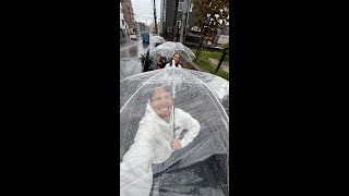 Durchsichtige Regenschirme überall in Japan [upl. by Osanna64]