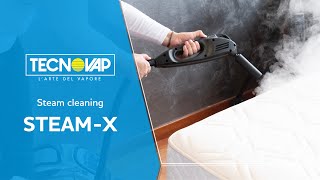 SteamX fight bedbugs with Tecnovap [upl. by Vanessa]