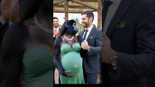 lady Gorilla new married funny funnyanimlas sorts ytsorts trending viralvideo [upl. by Blakeley]