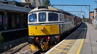 Waterside Wanderer Railtour 280724 [upl. by Risser]