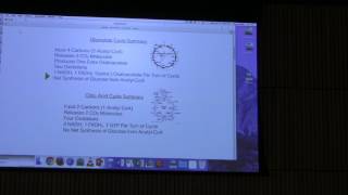 Ketone Bodies  Lipids amp Membranes  Kevin Aherns BB 451 Lecture 31 2017 [upl. by Amethist]