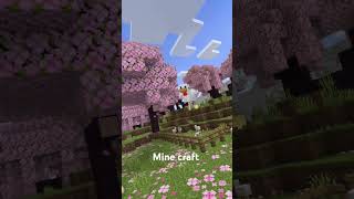 minecraft in echtes leben [upl. by Eniawed]