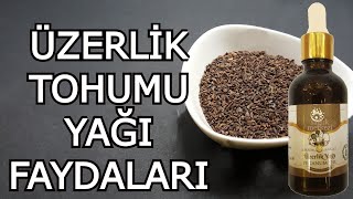 ÜZERLİK TOHUMU YAĞI FAYDALARI [upl. by Siulesoj]