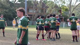 MURFC Round 10 Grade v North Cronulla Sea Lice  29th June 2024  HOME [upl. by Bobette]