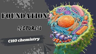 Biochemistry Lecture 3 Foundation module Disaccharides  Polysaccharides Dr Adham Saleh [upl. by Stephanie]