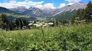 Pedalando até Bormio 2000 em uma estrada LINDA italia bormio [upl. by Naillig217]