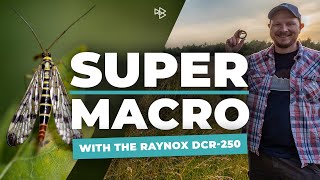 Super Macro Photography With the Raynox Dcr250 [upl. by Yelsnik]