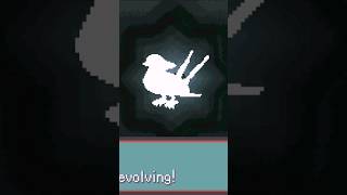 Taillow Evolves Into Swellow  Pokémon Emerald pokemon gen3 pokemonemerald [upl. by Elah]