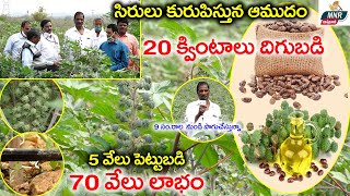 ఆముదం సాగు  Good Profits With Castor Farming  Castor Oil Plant Uses in Telugu  MNR Annadatha [upl. by Prevot]