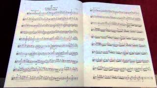 Suzuki Viola School Vol4 No2 FSalse Concerto No5 1st Movement [upl. by Ingram800]