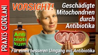 VORSICHT Geschädigte Mitochondrien durch Antibiotika [upl. by Puduns439]