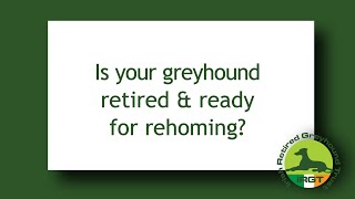 How to rehome your Retired Racing Greyhound [upl. by Mccormick]