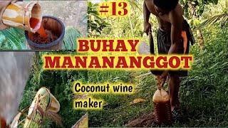 13 PWEDING PAGKAKITAAN SA NIYOGTUBA O LAMBANOG COCONUT WINE BEST WINE IN PHILIPPINES [upl. by Winola]