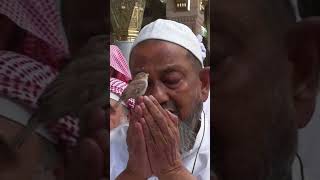 kabaa duaa shortsvideo kabaa pic baby prayer viral [upl. by Eselahs115]