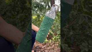 Survival Skills Bottle Reused Simple But Very Useful survival bushcraft shorts [upl. by Yllek]