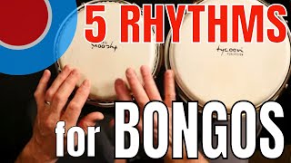 Five Rhythms for Bongos  Easy [upl. by Sybilla]