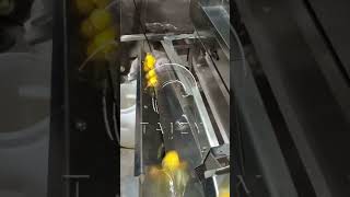 Amazing Egg Processing Machine  Egg Yolk White Separator [upl. by Euqinim]