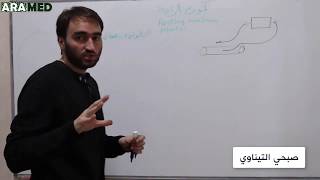 quotالأنسجة المستثارةquot 1 كامن راحة غشاء الخلية Resting Membrane Potential [upl. by Ardnael]